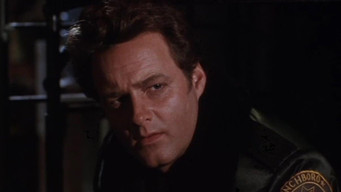 Wiseguy T3E19