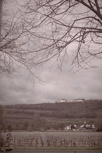 The Road, Chapter 1: Winter (1970)