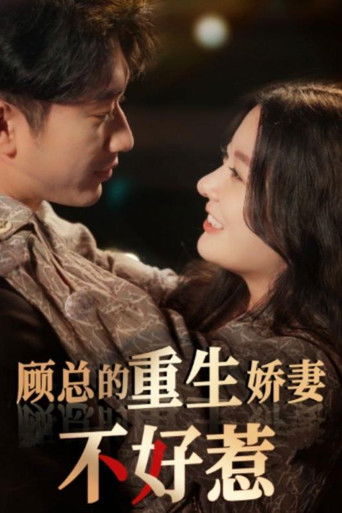 顾总的重生娇妻不好惹 poster