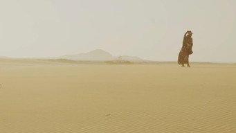 Soul of the Desert (2024)