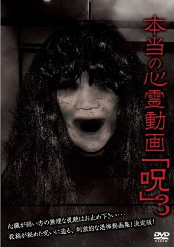 Hontō no Shinrei Dōga 'Noroi' 3 (2013)