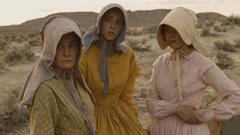 Обхід Міка (2010)