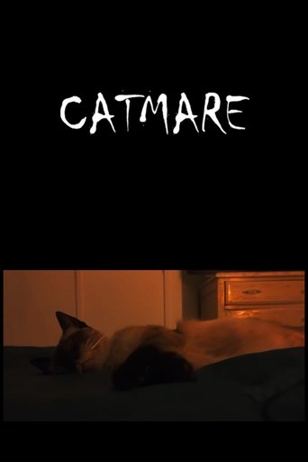 Catmare poster