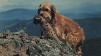 Гонитва за Бенджі (1987)