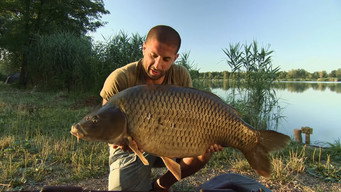 Monster carp (2016- )
