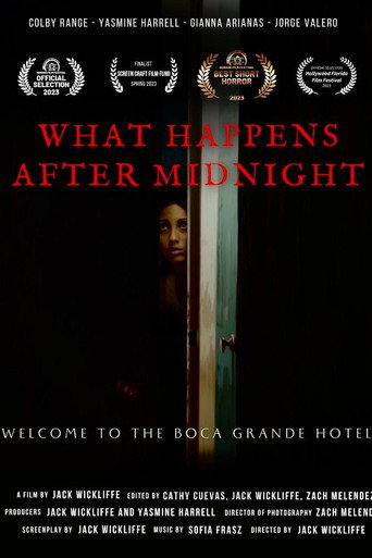 What Happens After Midnight (2024)