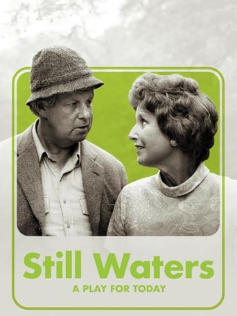 Poster of Still Waters