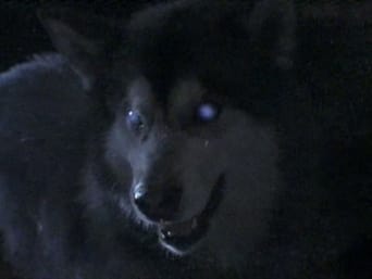 Imagem do episódio