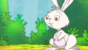 Episode 51 — Episode 51