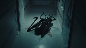 The Kiss of the Grasshopper (2025)