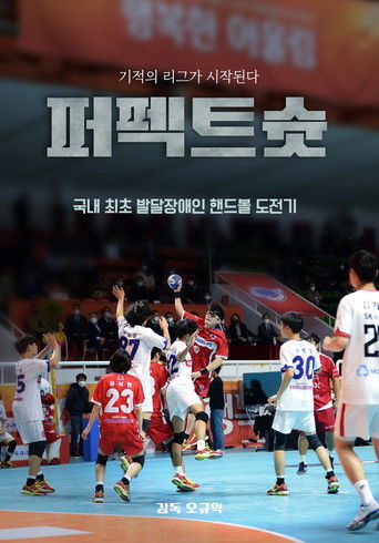 Perfect Shoot poster