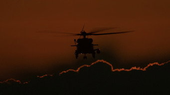 #21 Погані хлопці 2