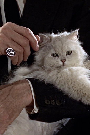 Cartell de Last Movies