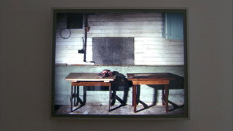 #14 Jeff Wall: Retrospective