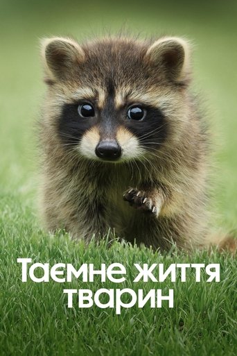 Таємне життя тварин