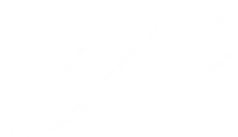 صورة من شب های برره