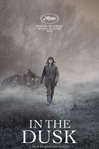 Poster of In the Dusk