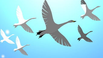 Episode 91 — The Six Swans