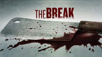 #7 The Break