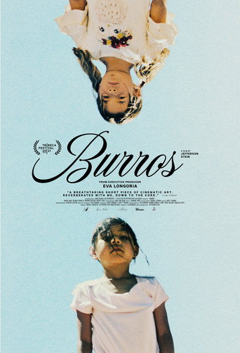 Poster film Burros