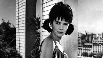 The Terrace (1963)