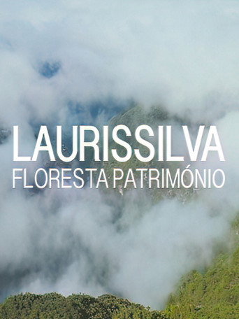 Laurissilva - Floresta Património