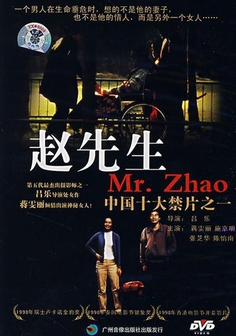 Mr. Zhao