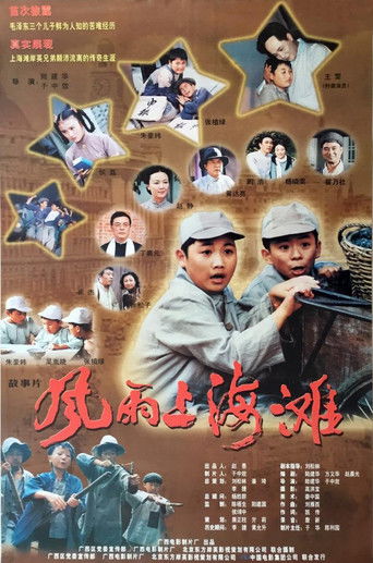 风雨上海滩 poster