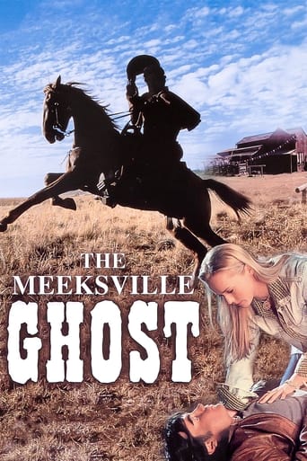Poster of The Meeksville Ghost