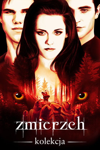 Zmierzch - Kolekcja