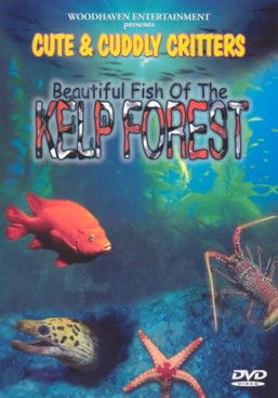 Beautiful Fish of the Kelp Forest poster