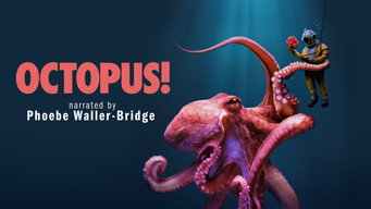Octopus! media image