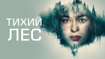 #4 Тихий ліс