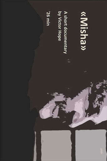 Misha poster