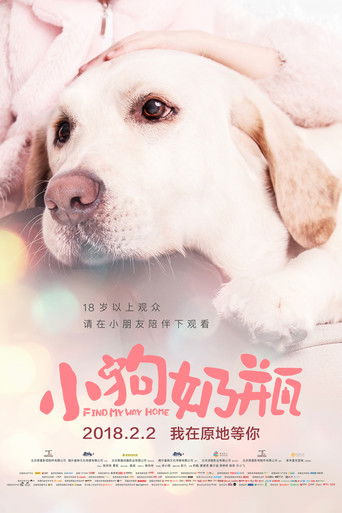 小狗奶瓶 poster