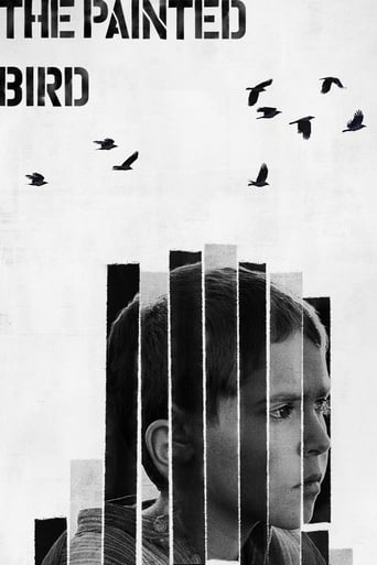 The Painted Bird Poster