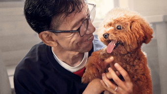 #5 Pets
