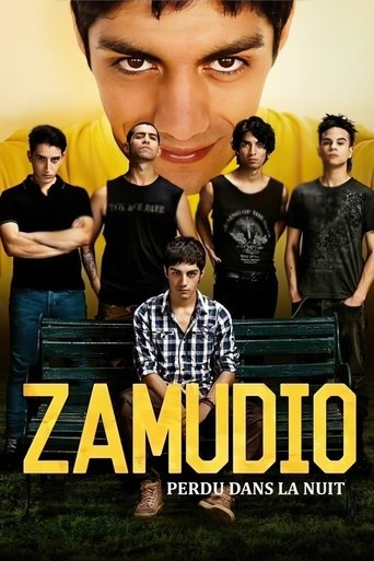 Zamudio : Perdu dans la nuit