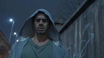 Galeria 5 - Gatillero