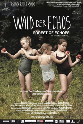 Wald der Echos