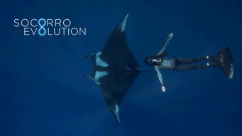 Socorro Evolution (2018)