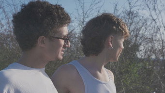 #5 Dis-leur