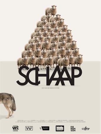 Schaap en streaming 