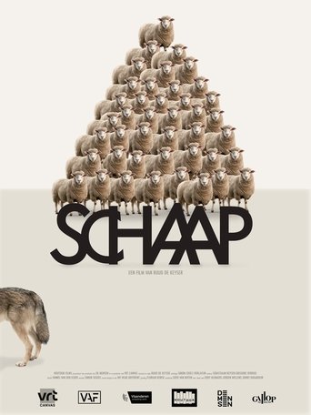 Sheep (2025) Sheep (2025)