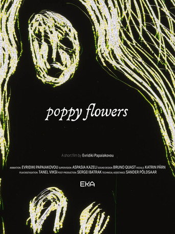 Poppy Flowers (2024)