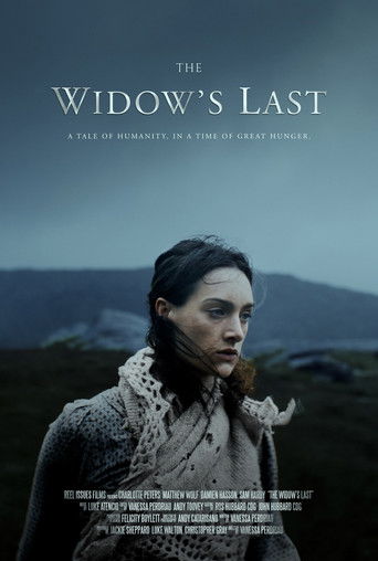 The Widow's Last poster