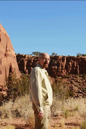 Breaking Bad - Season 5
