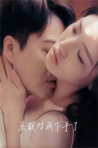 总裁对我下手了 poster