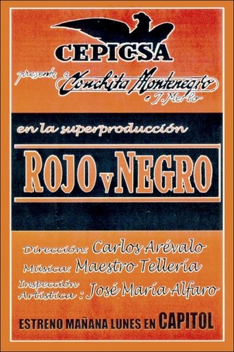 Poster of Rojo y negro