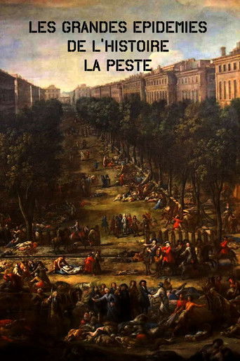 Les grandes épidémies de l'histoire la peste poster
